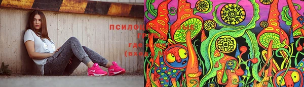 прущие крисы Абаза