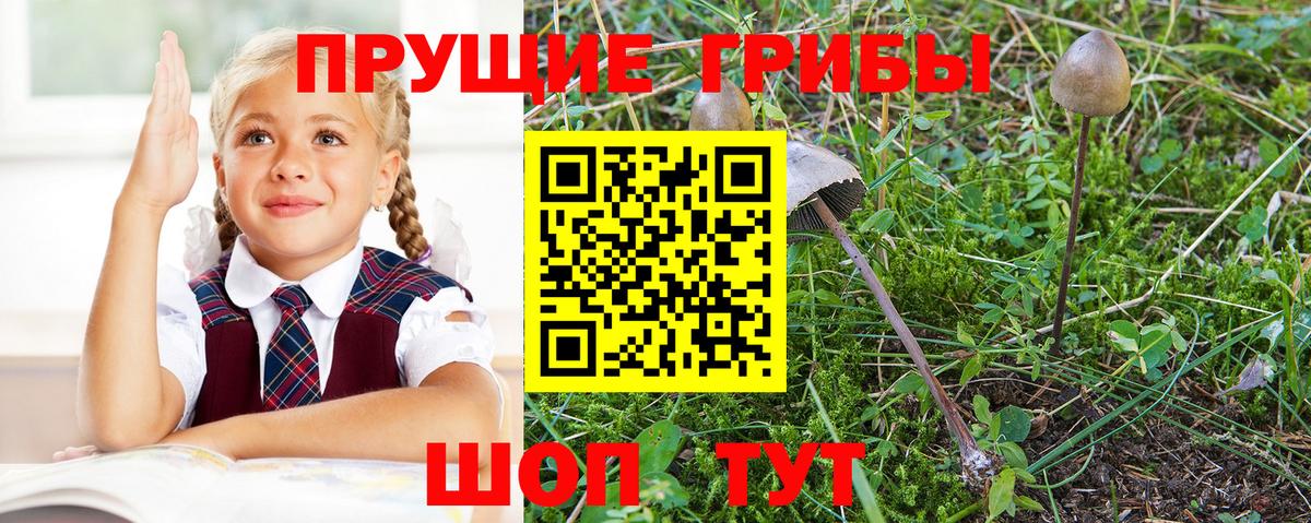 Элиста  Галлюциногенные грибы MAGIC MUSHROOMS  Вход с VPN 